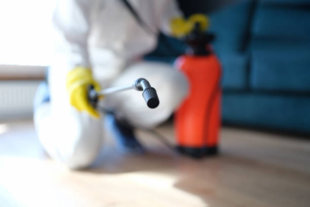 Best Water Damage & Mold Remediation  in Lake Secession, SC