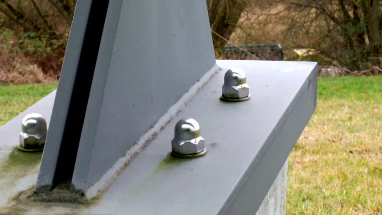 Best Asbestos and Lead Testing During Mold Inspection  in Lake Secession, SC